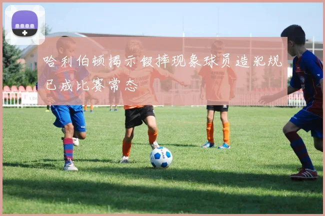 哈利伯顿揭示假摔现象球员造犯规已成比赛常态
