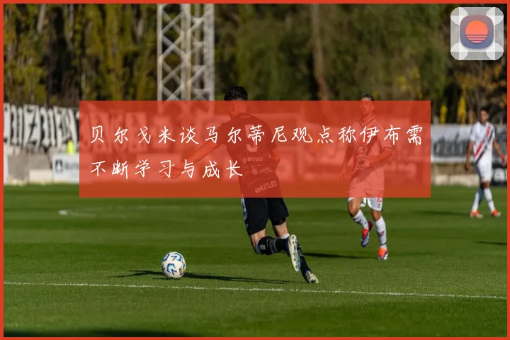 贝尔戈米谈马尔蒂尼观点称伊布需不断学习与成长
